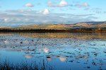 Gravel Lake, Yukon