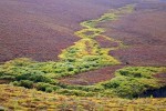 Dempster Highway, Yukon