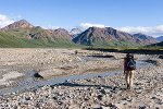 Denali National Park Alaska