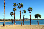 Arizona019