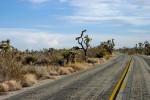 California026