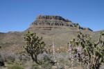 California025