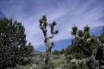 California028