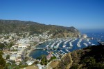 Avalon Harbor, Catalina Island