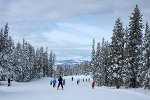 Skifahren in Steamboat Springs