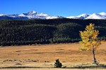 Moraine Park im Rocky Mountain Nationalpark