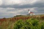 Faulkner Island Lighthouse, Stewart McKinney Wildlife Refuge