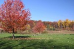 Parklandschaft im Herbst