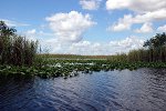 Everglades Nationalpark