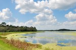 Orlando Wetlands Park