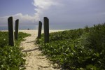 Strandszene in Florida