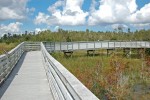 Holzsteg im Everglades Nationalpark