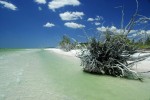 Weisser Sandstrand in Florida