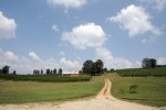 Weingut in Dahlonega