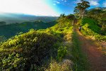 Kuilau Trail, Insel Kauai