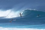 Surfers in der Nähe von Maui
