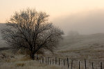 Winterlandschaft in Idaho