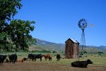 Farm in Idaho
