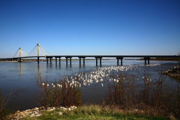 Mississippi River, Clarke Bridge bei Alton, Illinois - Missouris