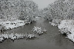 Fluss im Winter