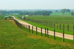 Ranch in Kentucky