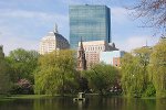 Boston Skyline, Public Gardens