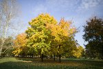 Indian Summer in Maine