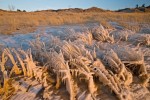 Saugatuck Dunes State Park, Michigan