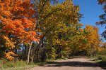 Herbstlandschaft in Michigan