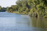 Landschaft am Missouri River