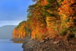 Allegheny National Forest, Pennsylvania