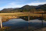 Great Smoky Mountains, Cade Coves, Tennessee