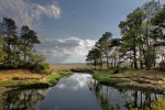 Chincoteague Island, Virginia