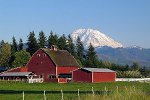 Mount Rainier in Washington