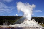 Geyser im Yellowstone Nationalpark